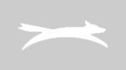 Wolfe Dermatology