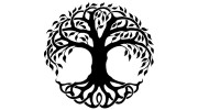 Knop Chiropractic & Rehabilitation