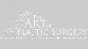 The Art Of Plastic Surgery