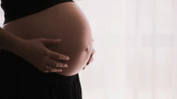 ARNI - surrogacy agency in Armenia